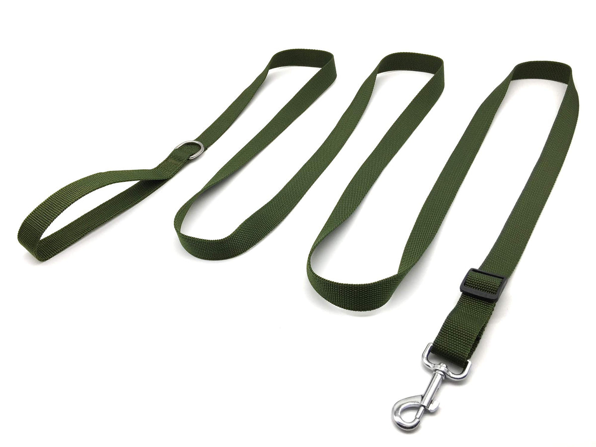 TAIAN Adjustable Nylon Dog Leash 6FT/10 FT Long Dog Leashes for Small Medium Large Dogs (1 in x 10 ft Green)