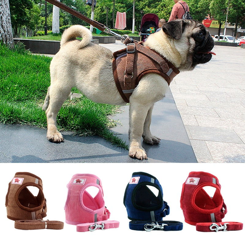 Small Dog Harness Leash for Walking Medium Dogs